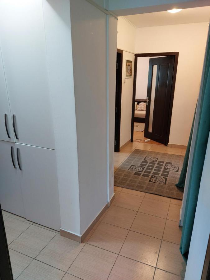 Apartament Central Renovat 3 Camere ブカレスト エクステリア 写真
